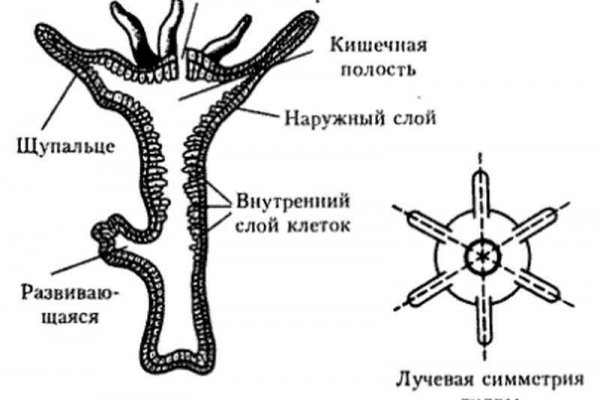 Кракен сайт kraken014 com