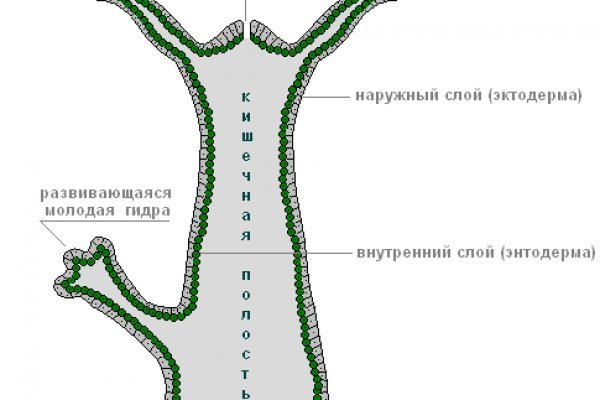 Даркнет ссылка