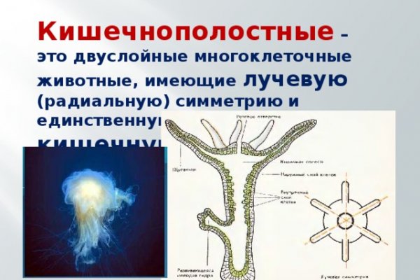 Ошибка на сервере кракен