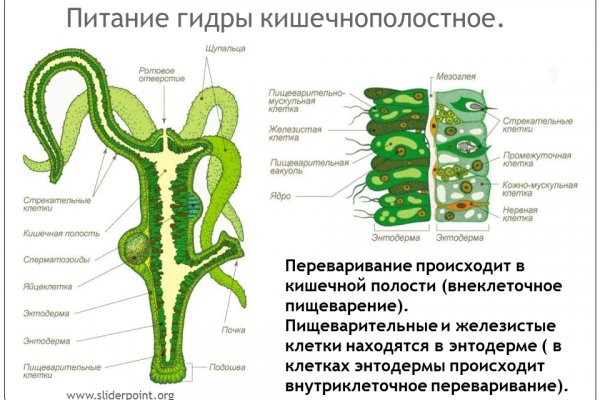 Как найти кракен шоп