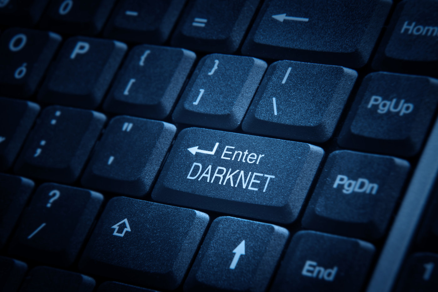 Kraken darknet marketplace